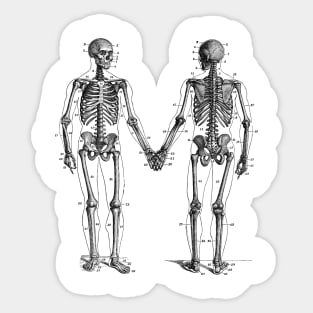 Skeletons Holding Hands Sticker